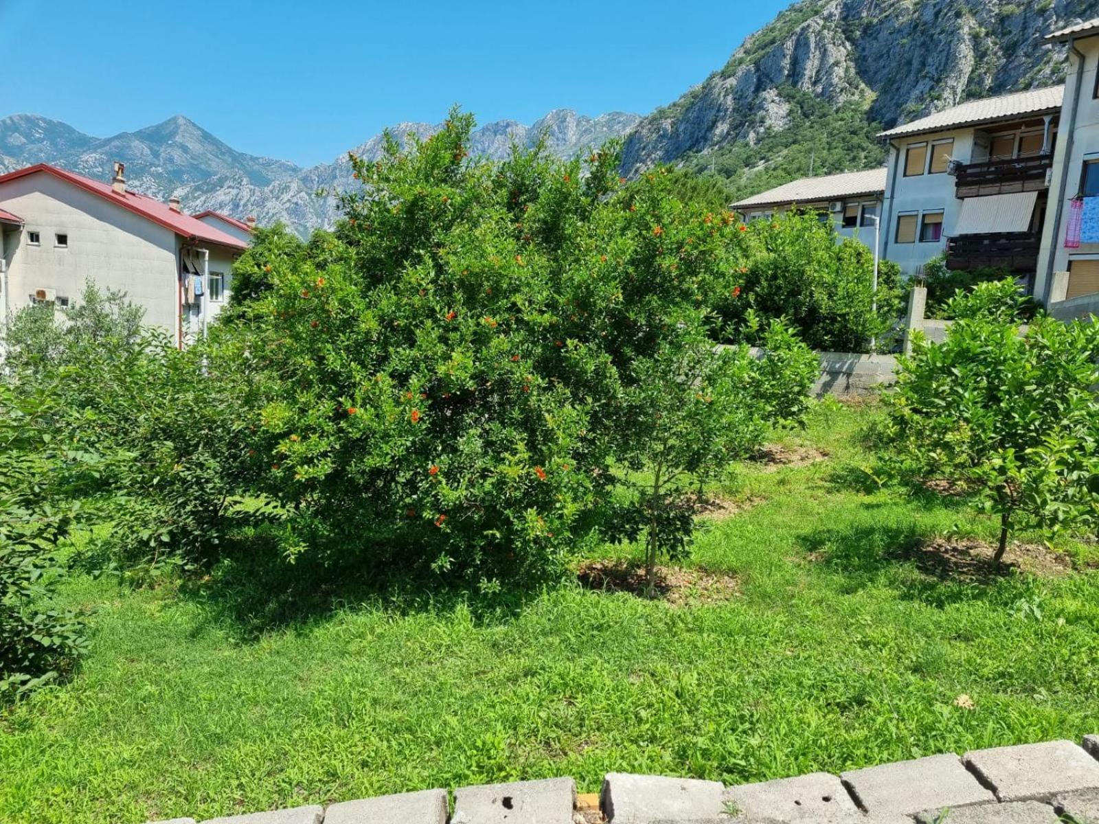 Apartments Luka Kotor Eksteriør billede